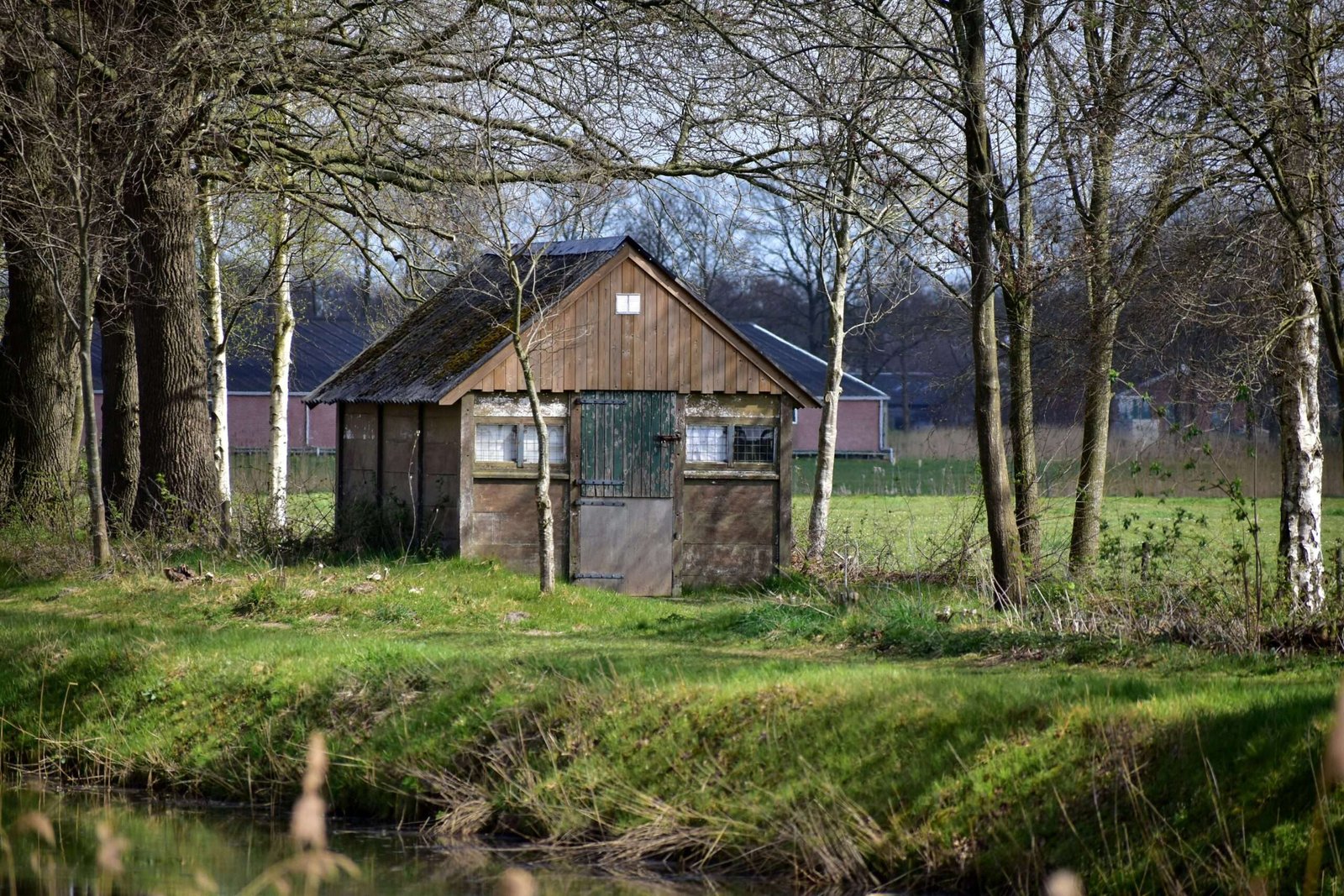 A Comprehensive Guide to Outhouse Construction: Building Basics to Practical Tips